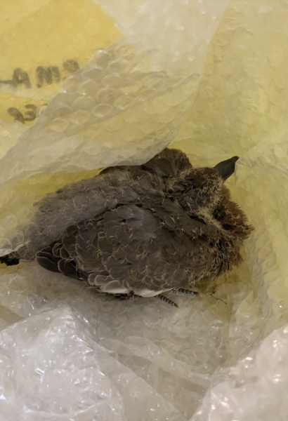 NOT what I expected to wake up to this morning...