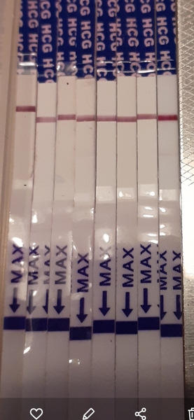 Do these look like evap lines or bfp?