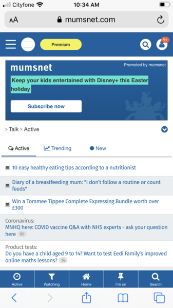 Why is my font size teeny?