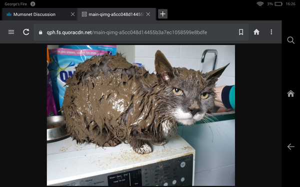 AIBU to be annoyed by message about washing my car