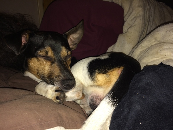 Week 3 - Leaving Lockdown Bootcamp