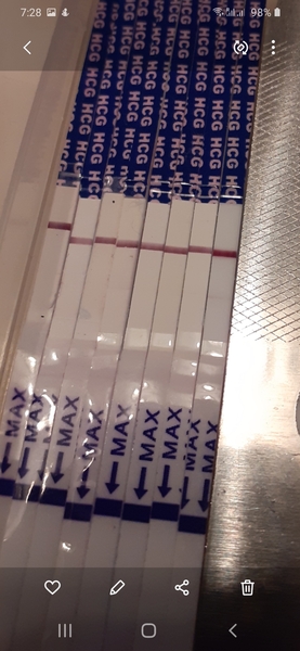 Do these look like evap lines or bfp?