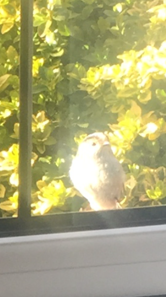 Swagger Inn 168 - New Year, New Thread - same Tavern