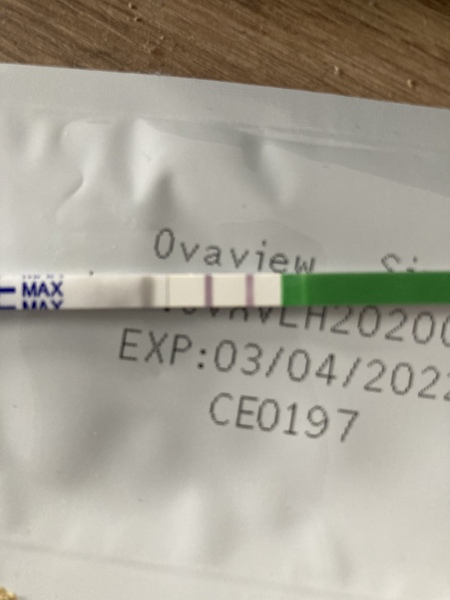 Positive OPK after Clomid