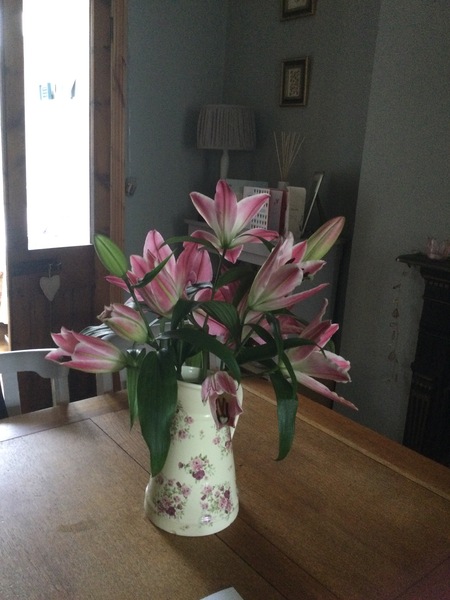 Westministenders: This is not the Brexit we voted for