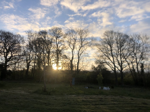 Week 3 - Leaving Lockdown Bootcamp