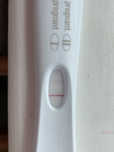 Due December 2021! Thread 2