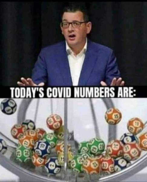 ADs teach twisted lyrics to their pet tortoise