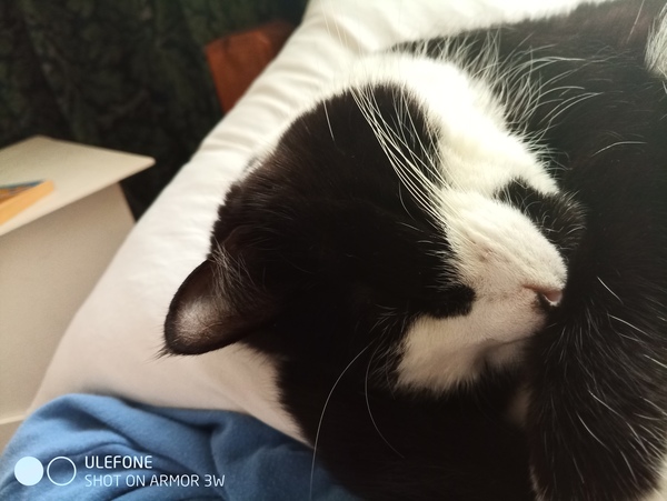 ADs drinking al fresco at The Sleeping Swans