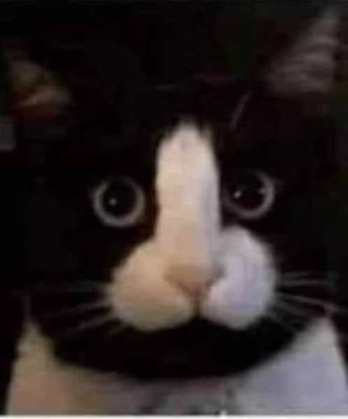 Westministenders: This is not the Brexit we voted for