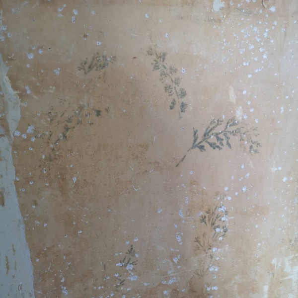 Interesting things you've uncovered when redecorating