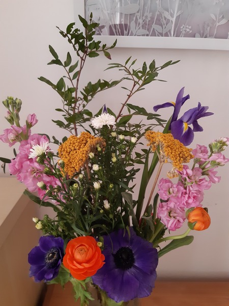 Freddie's Flowers - are they meant to look dead?