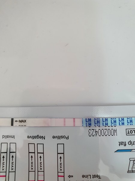 TTC March / April