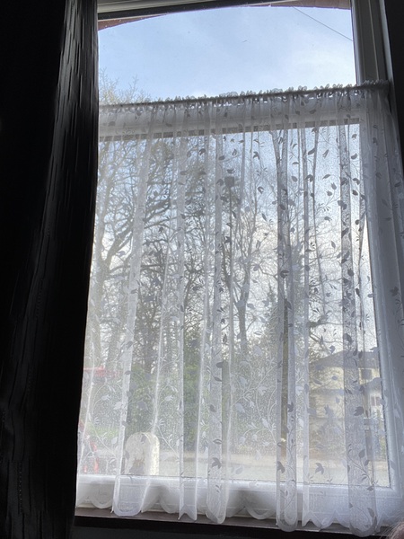To miss net curtains