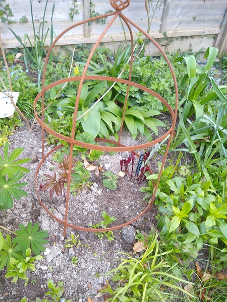 And another plant ID please!