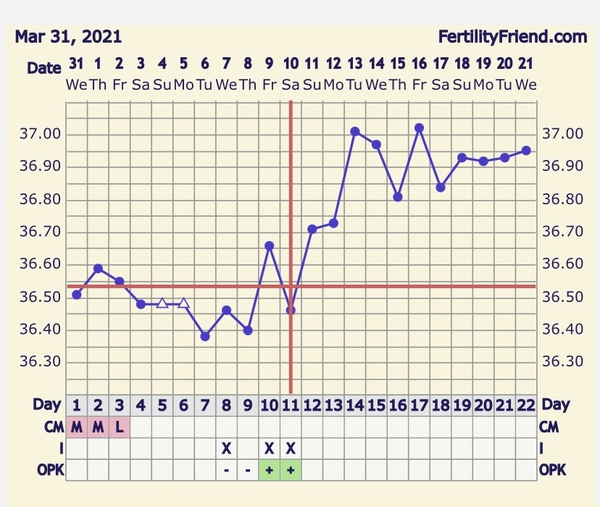 How many DPO am I?