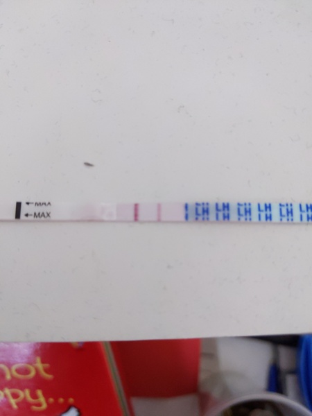 TTC March / April