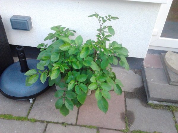 Unlocking Ireland - thread uimhir a seacht!