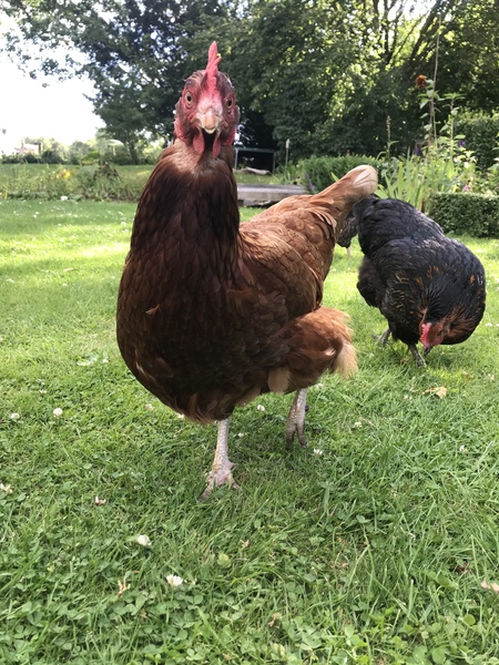 Leaving Lockdown Boot Camp Week 1: Part 2