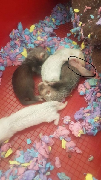 NOT what I expected to wake up to this morning...