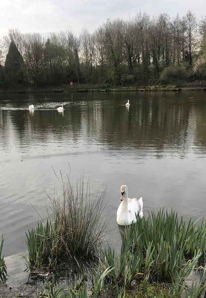 ADs drinking al fresco at The Sleeping Swans