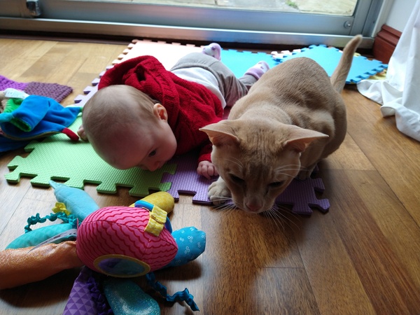 I love my cat so, so much!