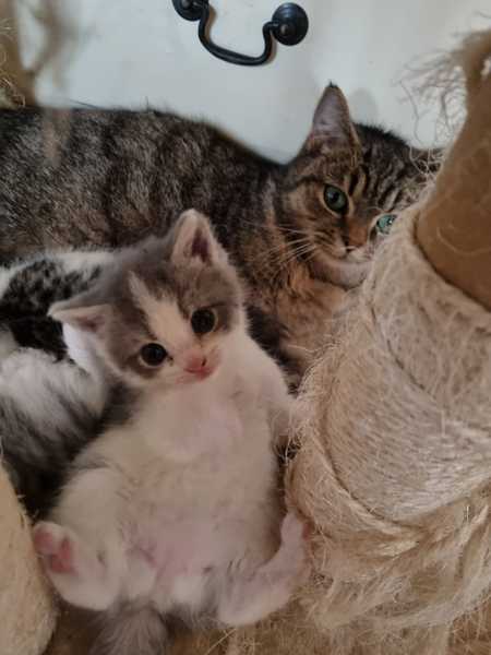 Help us choose a name!!