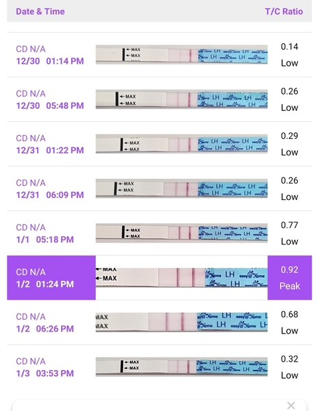 Would you call this a positive? OPK.
