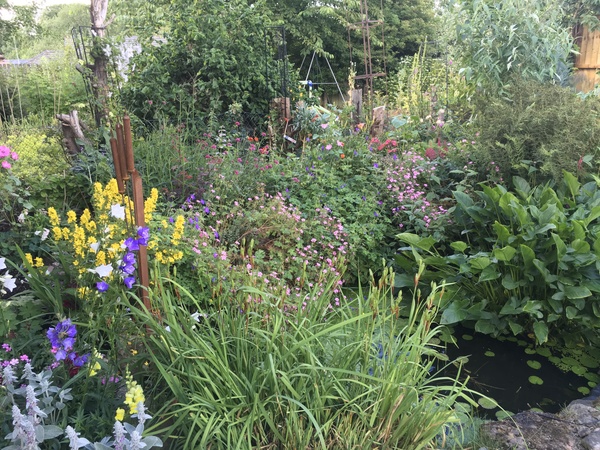 Lovely rambling/cottage garden pictures