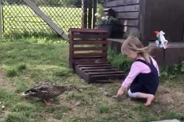 Friendly Frugaleers- Accounting Accurately All April