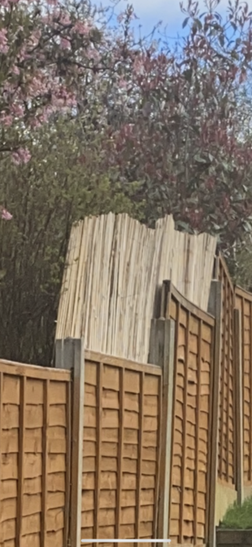 Neighbours