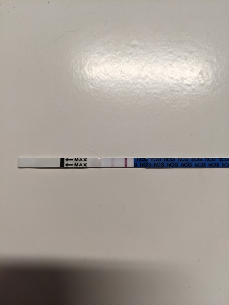 Feb Bus 2021 - no more TRYING to conceive, let's blimin do this!