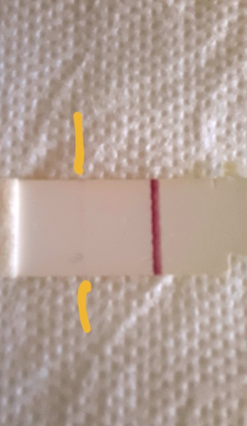 Getting pregnant again after TFMR, frer evaporation line, one step lines that dissappear