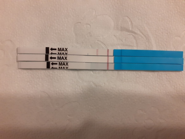 Have I missed the surge? Is ovulation over?