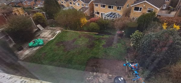 Have I messed up the lawn