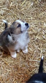 Name ideas?