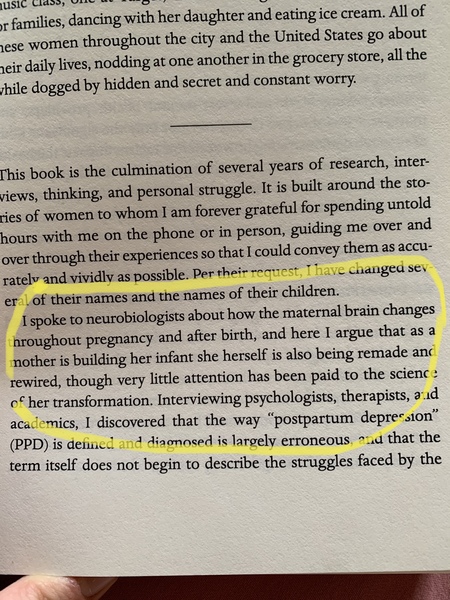 The placenta