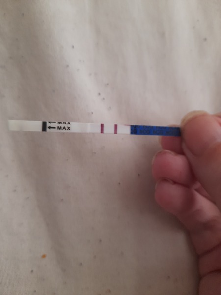 Due December 2021! Thread 2