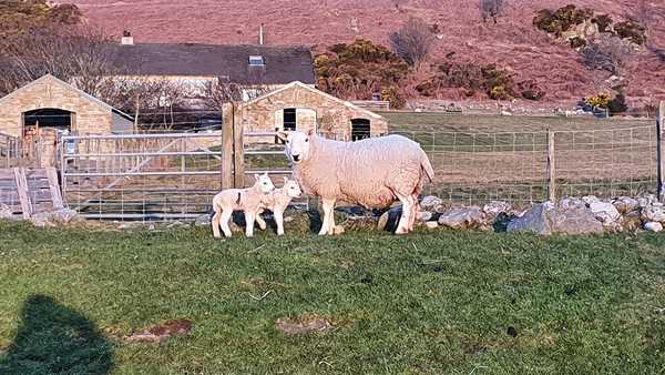 Leaving Lockdown Boot Camp Week 1: Part 2