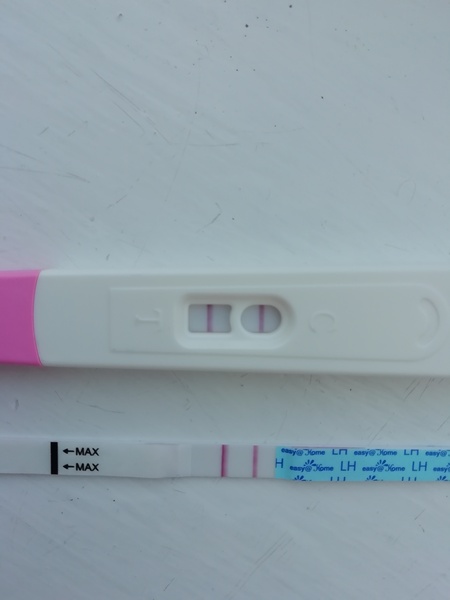 Would you call this a positive? OPK.
