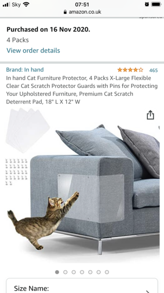 To wonder how to protect my sofa from the cat?