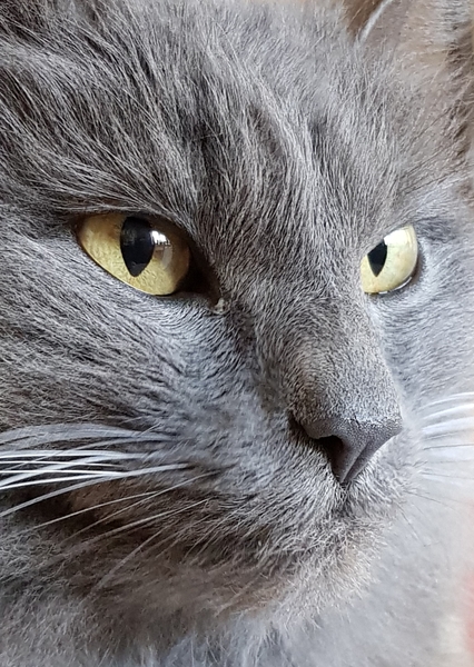 What's your DCat up to today? (Thread 8)