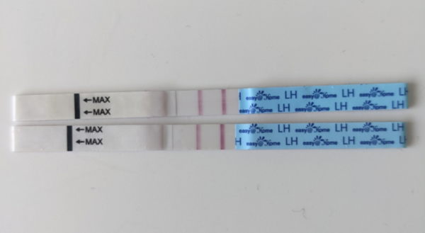 Positive opk ON my period!