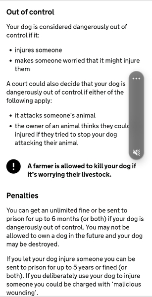 To have felt so nervous about dog off lead today?
