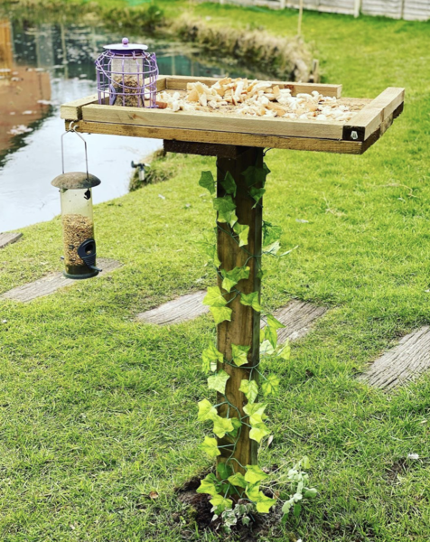 NOT what I expected to wake up to this morning...