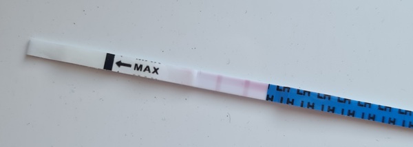 Ovulation tests - first Vue