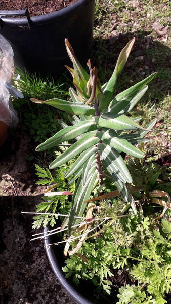 Help me to identify this please.
