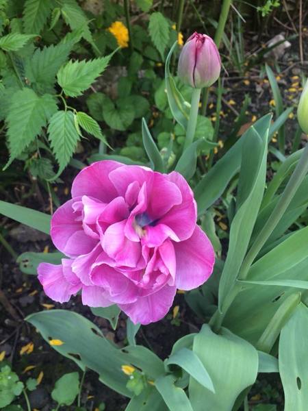 Week 2 - Leaving Lockdown Low Carb Bootcamp