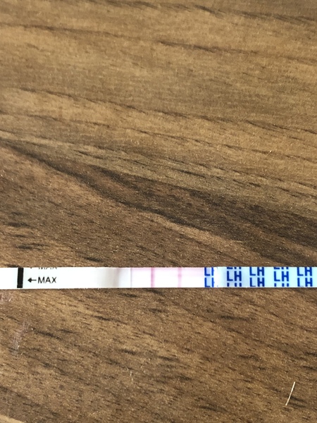 TTC after miscarriage