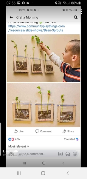 Seed help please